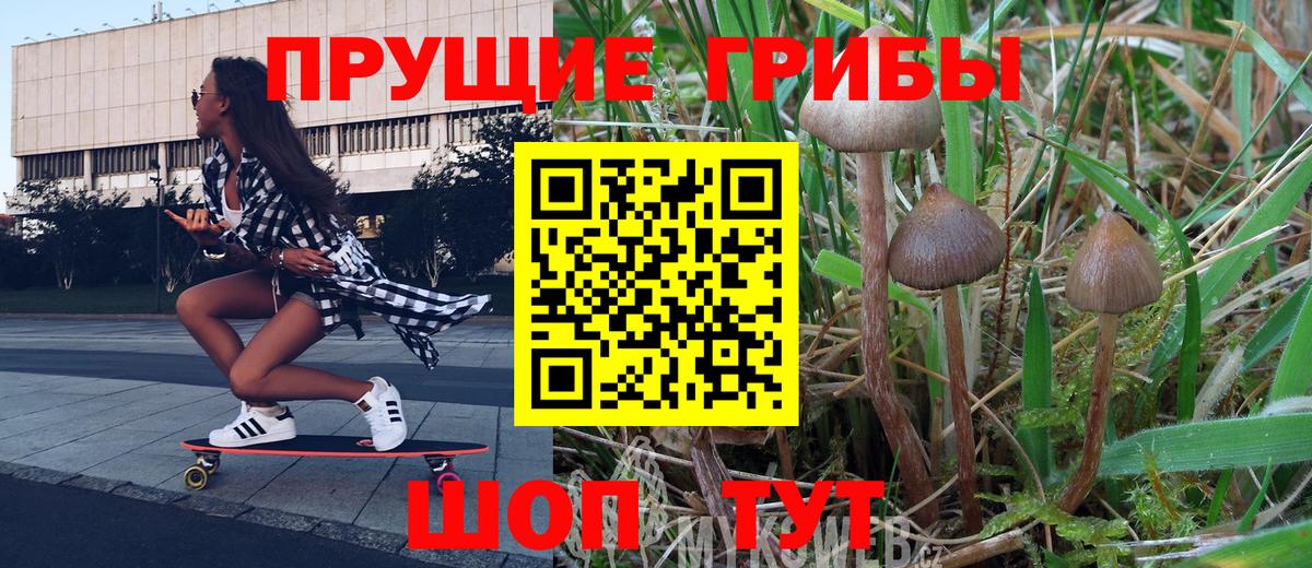 Малоярославец  Галлюциногенные грибы Psilocybe  Вход с VPN  Галлюциногенные грибы Psilocybine cubensis 