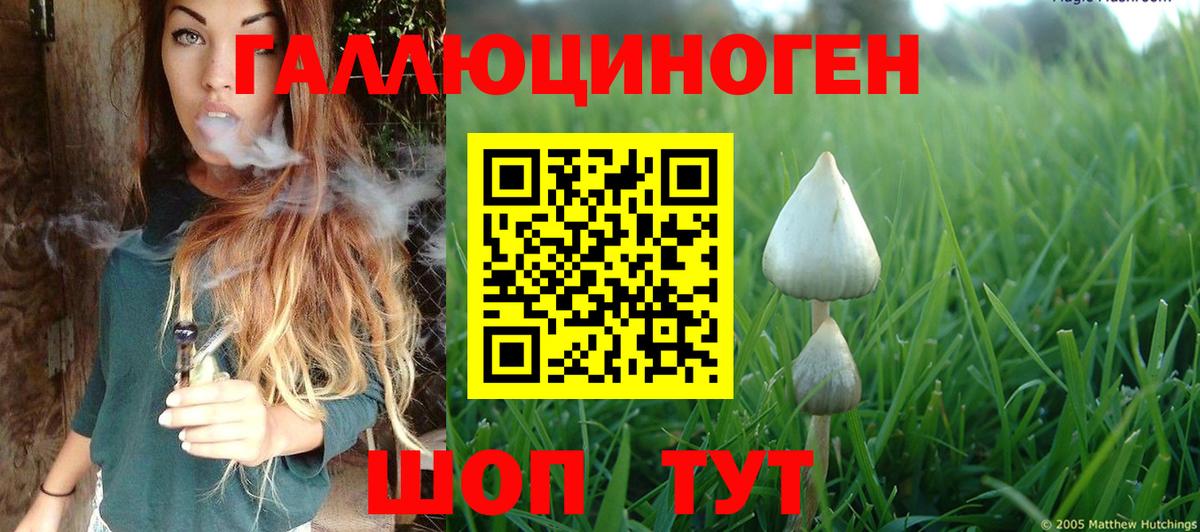 Псилоцибиновые грибы ЛСД Малоярославец